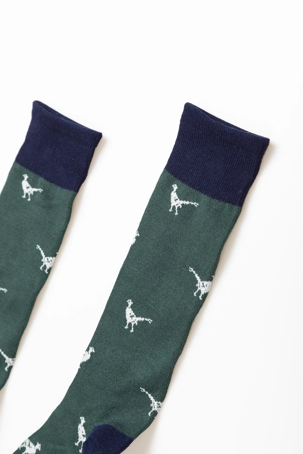 Men's Walking Pheasant Socks