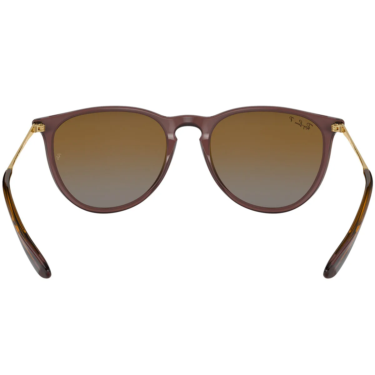 Ray-Ban Erika Classic Polarized Sunglasses - Polished Transparent Dark Brown/Brown