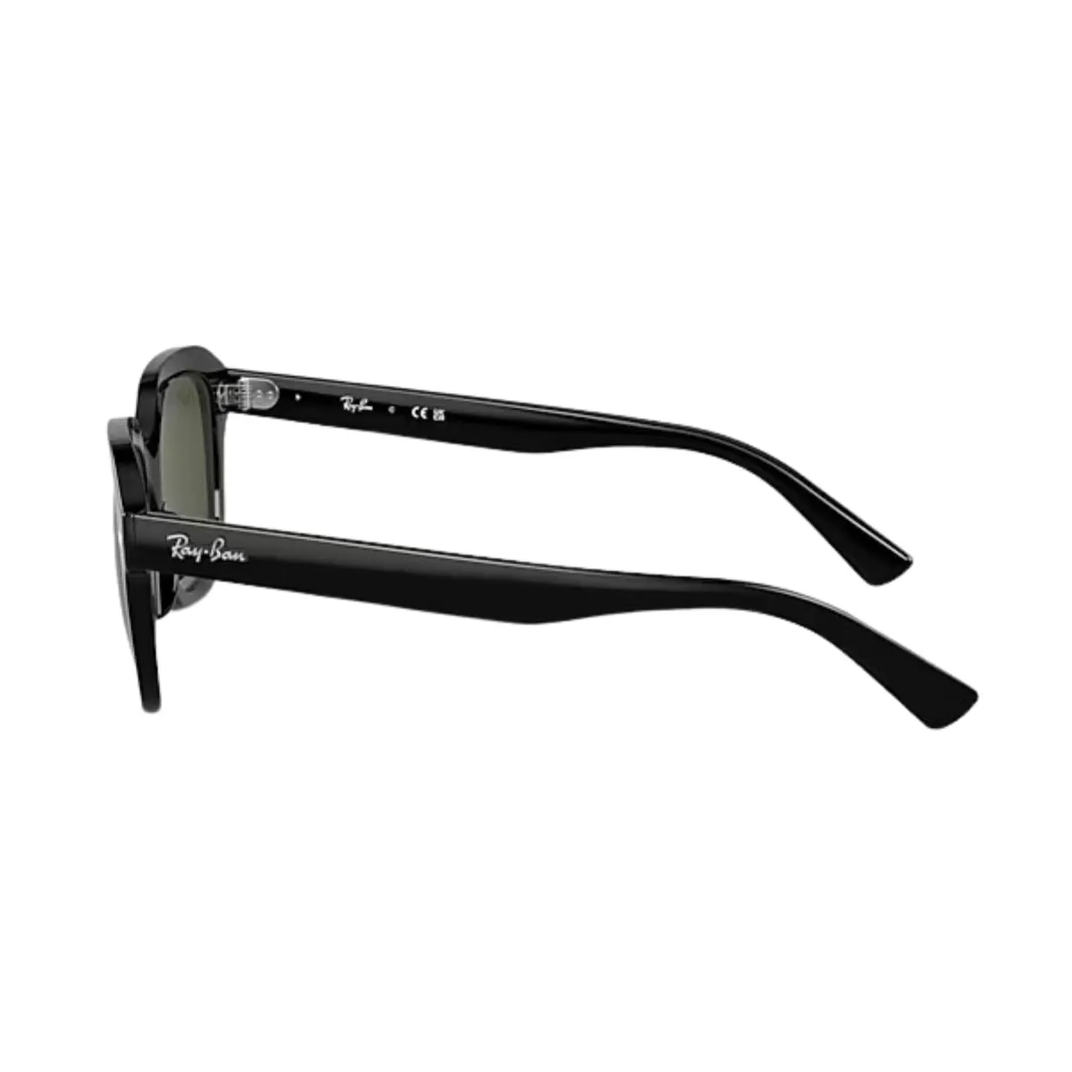 RayBan Sunglass ERIK RB 4398 901/31